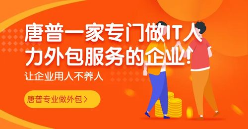影响软件开发人员外包价格的关键因素分析